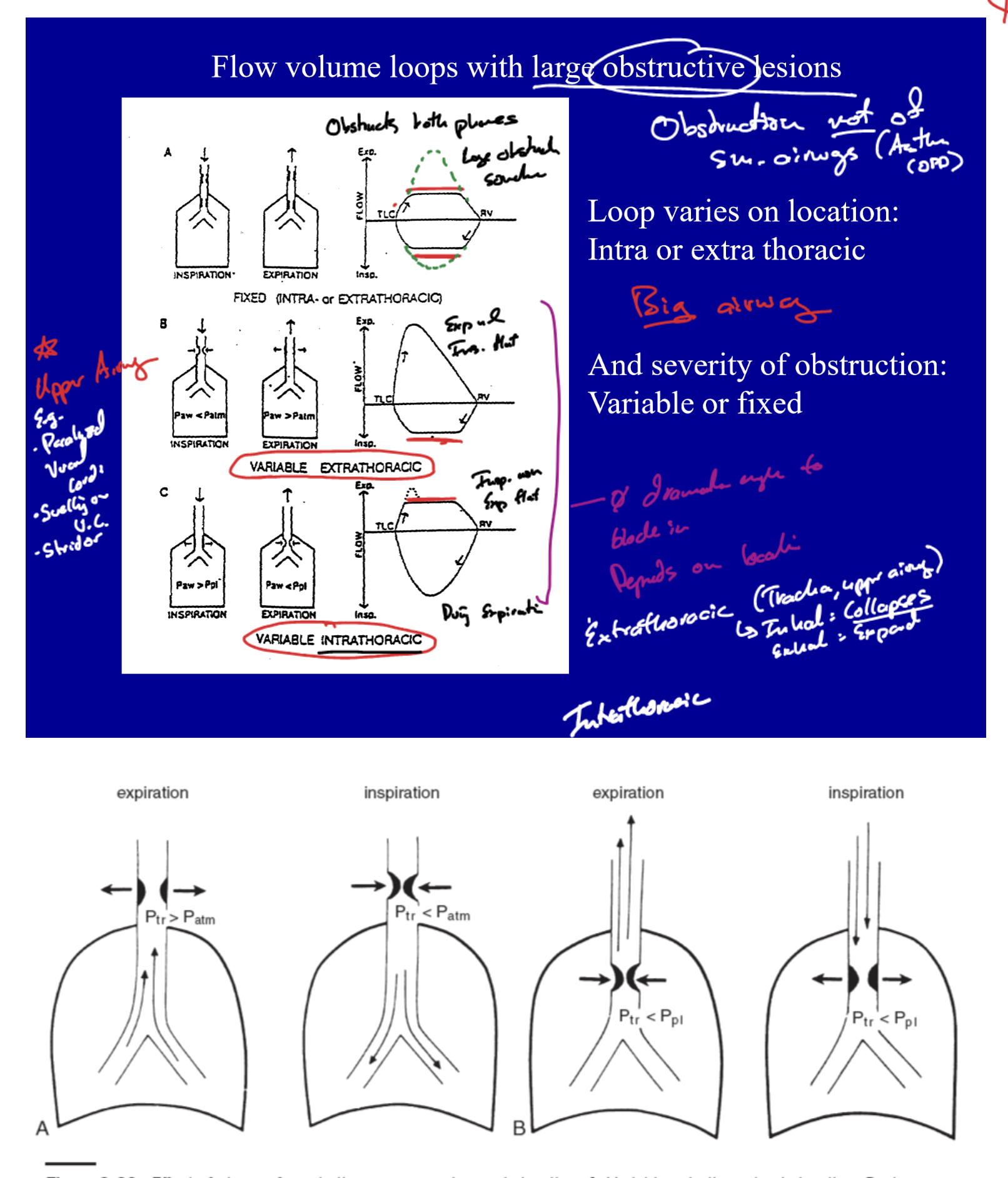 Clinical Annotations Example 2